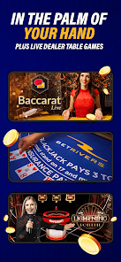 betrivers casino